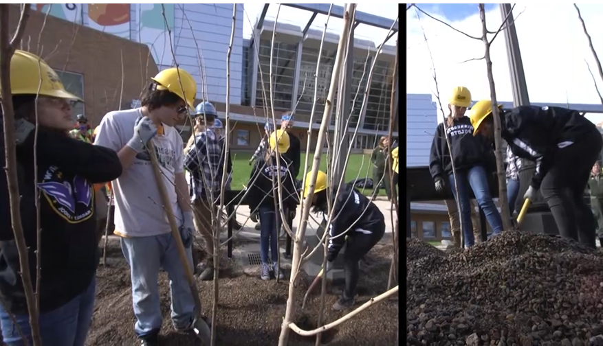 Corps members planting trees in St. Paul